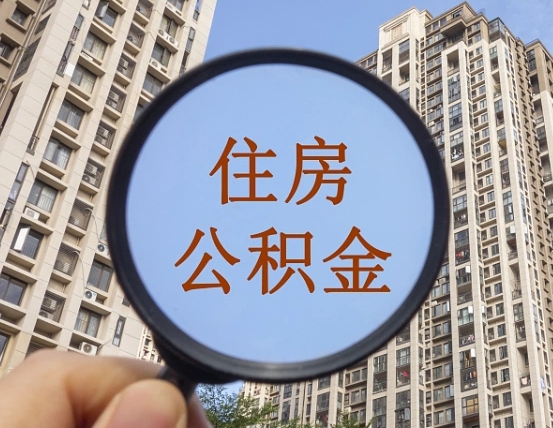 赵县退休后查不到公积金明细了吗（退休后公积金查询不到原因）